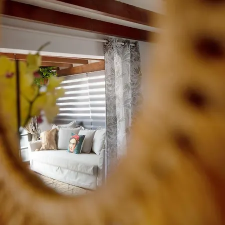 Boho Villa Evolvista * 普拉亚布兰卡