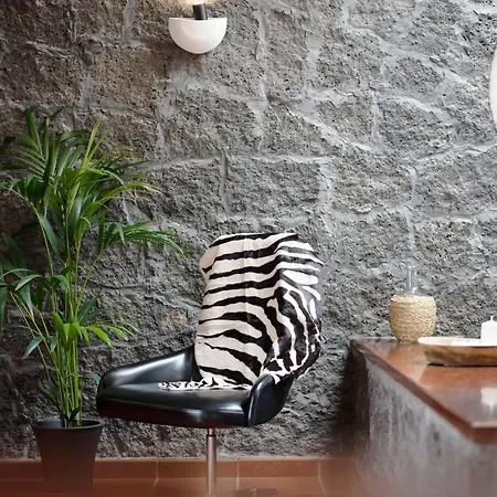 Boho Villa Evolvista 别墅